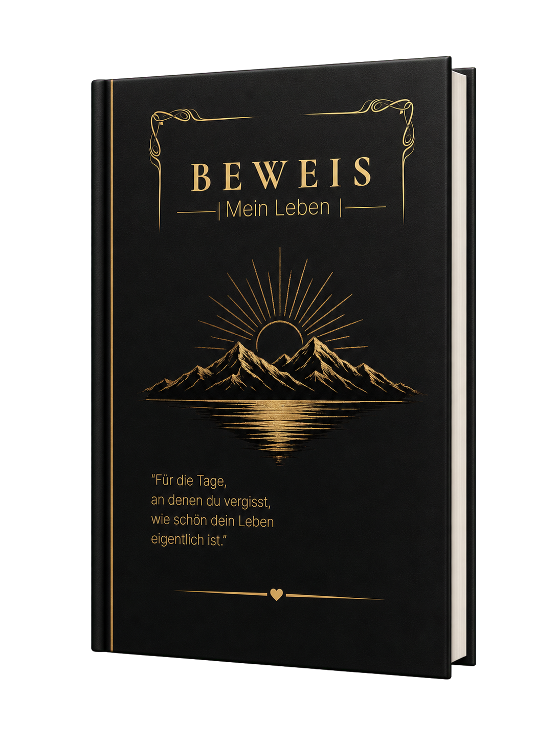 BEWEIS – Mein Leben, Buchansicht von vorne